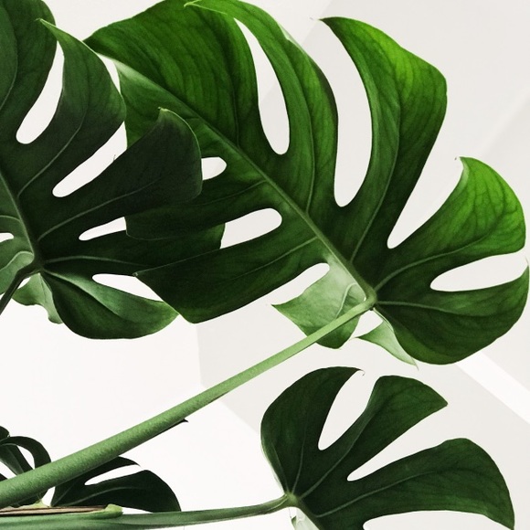 2 items = 30% off ๐บ - Picture 3 of 3